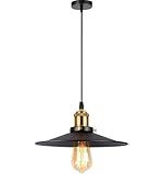 YSGUYILT Suspension Luminaire Industriel E27 Lampe Suspendue D'intérieur Vintage en Métal Lustre Plafonnier pour Salon, Cuisine, Noir Φ26 cm