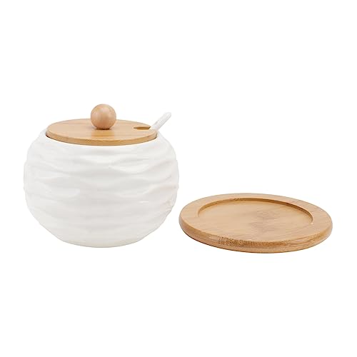 FUNOMOCYA 1Set Ceramic Seasoning Jar with Spoon Condiment Box for Kitchen Organization Spice Storage with Lid for Salt