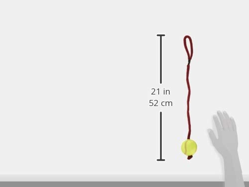 TRIXIE 4011905034799 Tennisball am Seil, ø 6/50 cm, natur