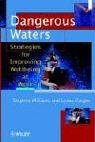 Dangerous Waters: Strategies for Improving Wellbeing at Work (Wiley Series in Work Well-Being & Stress)