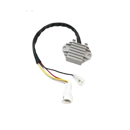 Stabilisateur tension moto évite les pannes électriques de WR250F