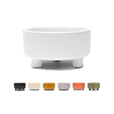 Waggo Uplift - Cuenco de cerámica para perros para razas pequeñas, blanco)