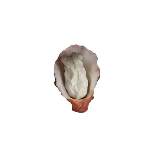 [qiukala] Hi z_[ y `[ G X^C PVC H pr   v[gpy Hi͌^ yY G Hו JL yz