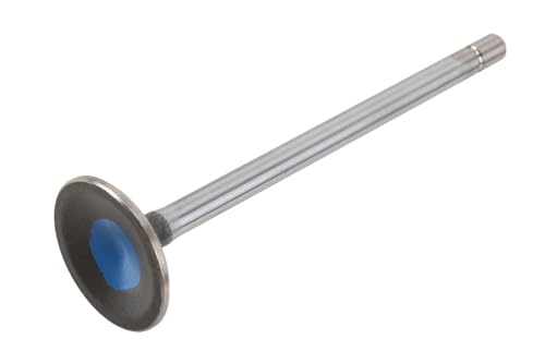 GM Genuine Parts 12627156 Engine Exhaust Valve