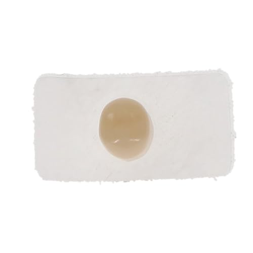 3M ESPE 50616 Protemp Crown Temporization Material Lower Bicuspid Shells 5/Pk