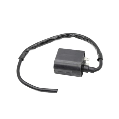 Bobine d'allumage pour moto 33410-20E01 Suzuki AN125 et AN150 Vecstar