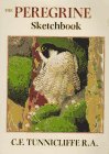The peregrine sketchbook