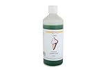 TAS-TY LIME Ice Cream Topping Sauce 625g (1)