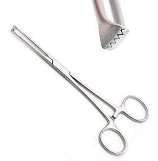 GOLDFINCH Stainless Steel Surgical Instruments Allice Tissue forceps CE quality (6 Inch) (B0CBV2935B) Amazon Price History, Amazon Price Tracker