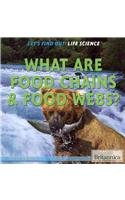 What Are Food Chains & Food Webs? (Let's Find Out!: