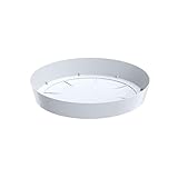Prosperplast