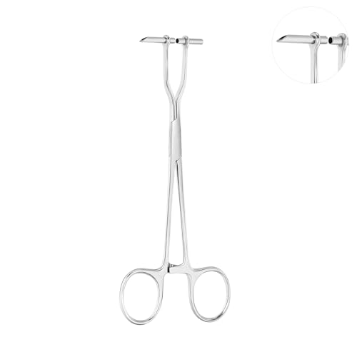 sAXNv @Zv^ sAXc[ ׂĂ̗p 316L XeXX`[ O @  ւ  {fBLbg