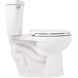 Signature Hardware 462384 Bradenton 1.28 GPF Two Piece Round Toilet with 10" Rough-In - White Signature Hardware 462384 Bradenton 128 GPF Two Piece Round Toilet with 10 Rough In White