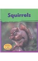 Squirrels (My Big Backyard) 1403457379 Book Cover