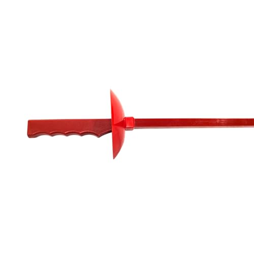 image for FENCING CLUB 38