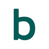 Immedia Semiconductor Inc.