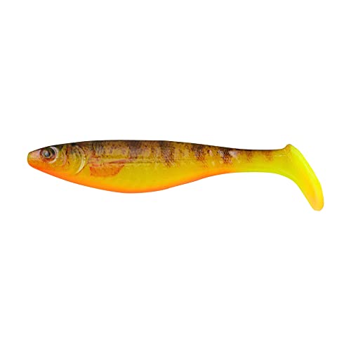 Berkley PBCTCS pour réussir vos sorties de pêche difficiles