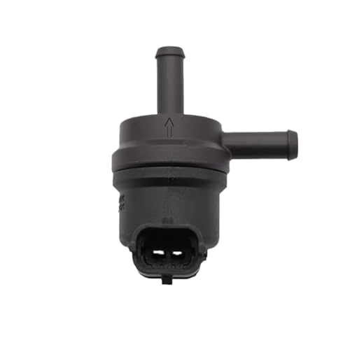 Soupape de purge corrige ralenti instable Hyundai Elantra Genesis 28910-2E000