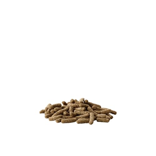 Versele Laga Versele-Laga Complete Cavia All-in-one- Nutrition | 4er Pack | 4 x 500 g | Pellets für Meerschweinchen | Enthält Timothy-Heu | Angereichert mit Holunderbeeren und Kräutern