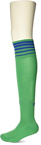 ライセンスソックス 20-21 CLERオーヴェルニュ オーセンティック 3rdソックス グリーン 28-31cm