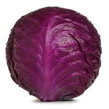Audbhidhi Vegetable Seeds |Red Cabbage hybrid Vegetable Seeds For Gardening ( 50 SEEDS ) (50, Red) (B09GBCFM88) Amazon Price History, Amazon Price Tracker