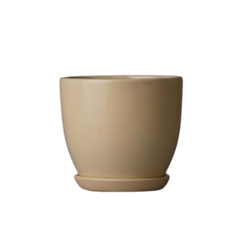 Image of Ceramic Plant Pot with Tray for Indoor Plants, Bonsai, Gift | Ceramic Planter for Living Room, Home & Office Decor (Set of 1, 5 Inches Big Plant Pot, Off-White)