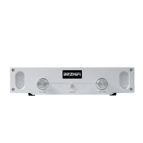 BRZHIFI A1S Pure Class A Stereo Amp