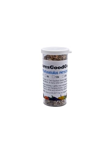 NaturesGoodGuys - Live Adult Phytoseiulus persimilis - Best for Two Spotted Spider Mites (2 000 Live Adult P. Persimilis)