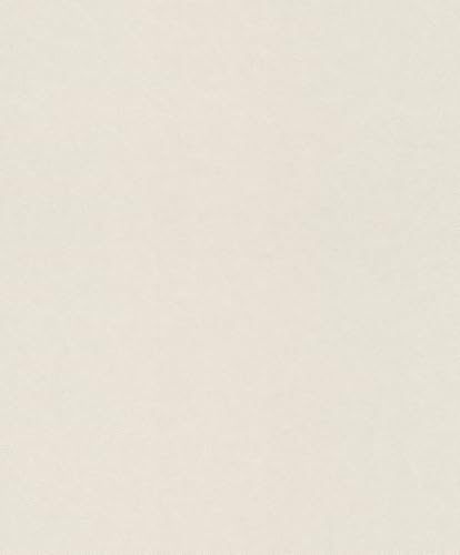 Rasch Carta da parati 660104 – Carta da parati in tessuto non tessuto di colore crema/beige con struttura in intonaco fine, effetto gesso, 10,05 m x 0,53 m (lunghezza x larghezza)