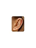 Fanquility 1Pcs Vintage Ear Wrap Crawler Hook Earrings Crystal Long Piercing Star-Shape Lightning Bolt Exaggerate Wrap Climber Earrings Gold Silver Cz Ear Cuff Earrings for Women (Style2)