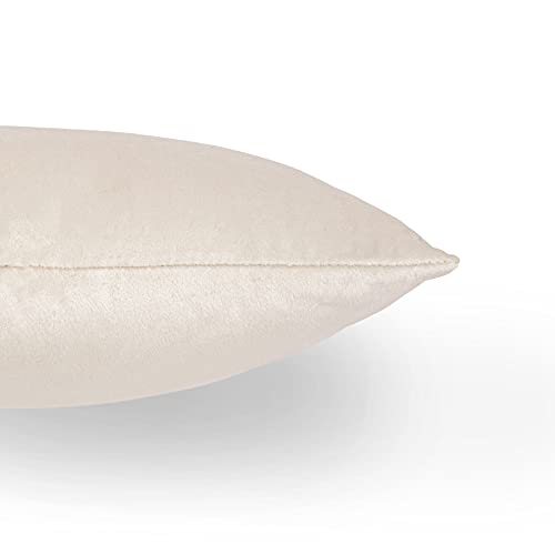 Image of Cazimo Velvet Cushion Covers for Bed, Sofa and Couch - 16 * 16 inches | Ideal for Living Room | Set of 2, Ivory