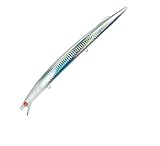 MOMMOTTI 220 ESCA ARTIFICIALE AFFONDANTE LONG CASTING 220 mm 56 gr(CRBO)