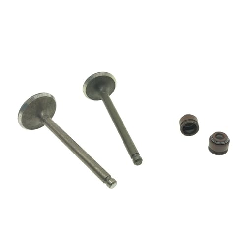 Retén de aceite de vástago de válvula compatible con motos GP110, VP110 y CK110T-D