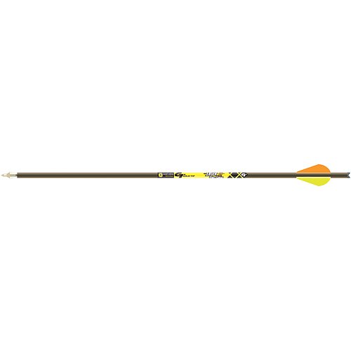 Boulons arbalète Gold Tip Laser II Pro de 55,9 cm pour une précision de chasse ultime en forêt