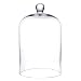 Whole Housewares Clear Glass Cloche Bell Jar - Glass Display Dome
