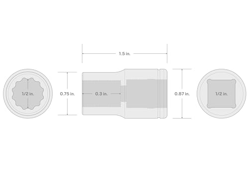 Image of TEKTON 1 /2 Inch Drive x 1 /2 Inch Shallow 12-Point Socket | SHD22213