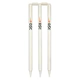 DSC Bleached And Polished Cricket Stumps Set with Bails | Wood | Size: Full
