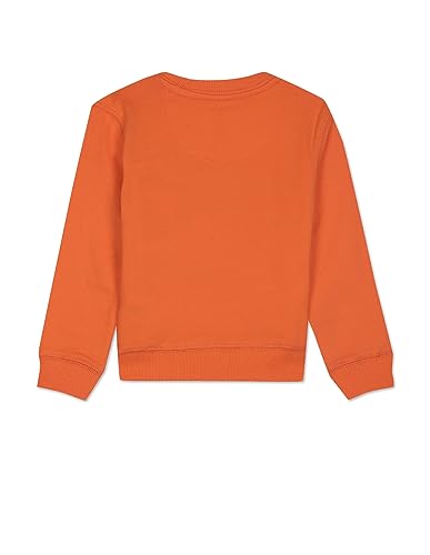 Image of U.S. POLO ASSN. Boys Sweatshirt