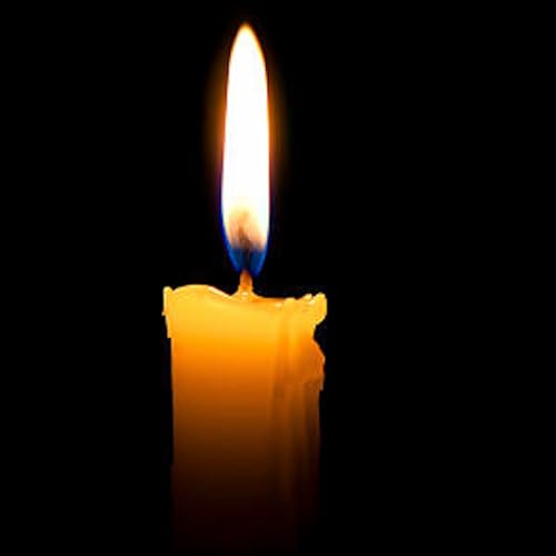 February 2026: Bondi, Medical Tourism, holiday reading