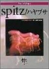ギター弾き語り スピッツ 「ハヤブサ」