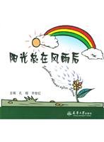 sunlight after the storm [Paperback] 756182131X Book Cover