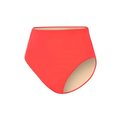 dolfin Swimwear High-Waisted Contemporary Briefs-picture-3