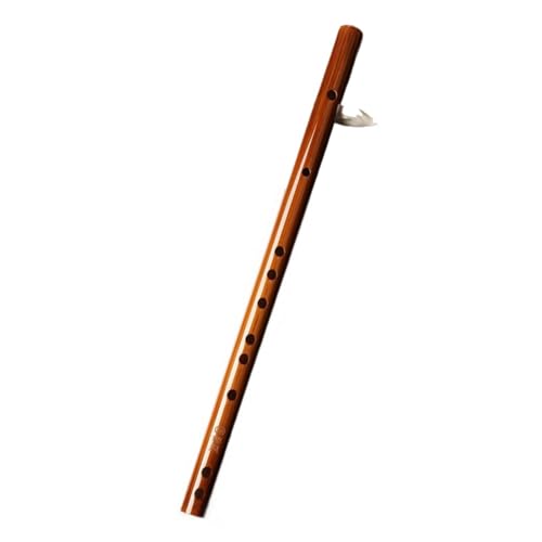 意欲的なプレーヤーのための竹スターターフルート人間工学に基づいた強化された音の安定性は、急速な進歩の学生フルートのための教育リソースが付属しています