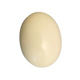 African Rainbow Craft