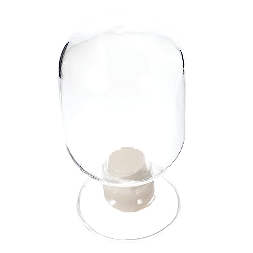 CORHAD Match Bottle Matches Candle Bulk Matches Cloche Glass Storage Round Shape 125ml Display Bottle
