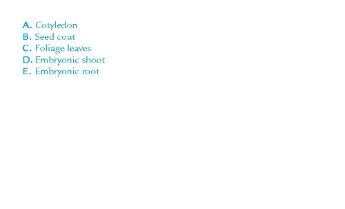 Barron's AP Biology Flash Cards - Image 7