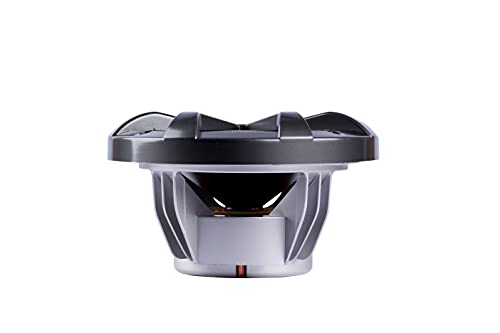 https://m.media-amazon.com/images/I/210XeTPnXWS._SL500_.jpg