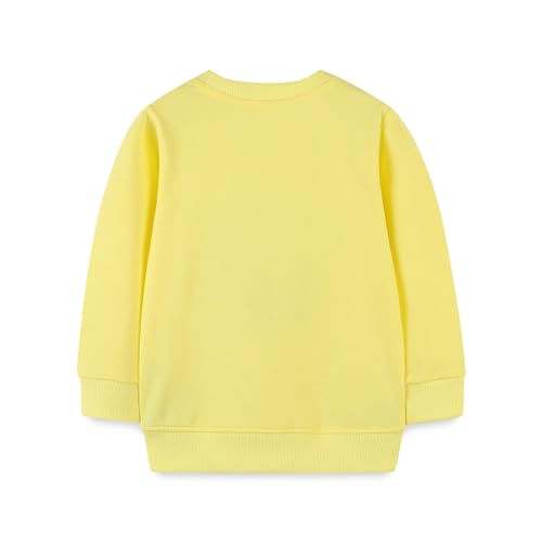 Baby Girls Cute Little Rabbit Embroidered Sweater Round Neck Long Sleeve Pullover Top2