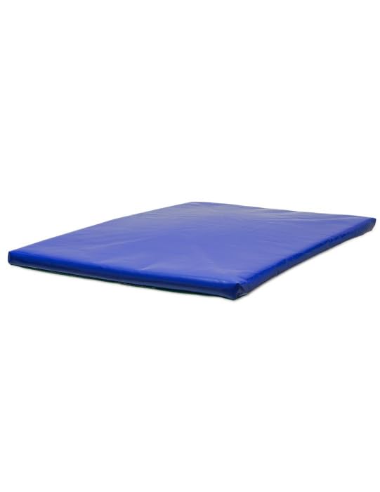 PROS Tapis de désinfection pour chaussures Tapis de désinfection des semelles de chaussures Tapis de sol d'entrée