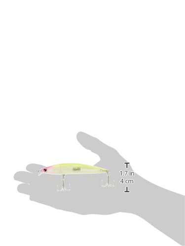 Ima Iborn 98F Shallow Flottant Leurre 07 (2046) - FR